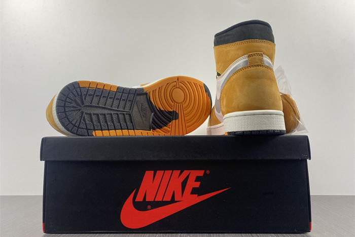 Air Jordan 1 Element  DB2889-700
