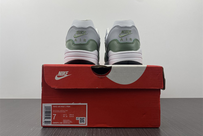 Nike WMNS Air Max Anniversary 1 DB5074-100