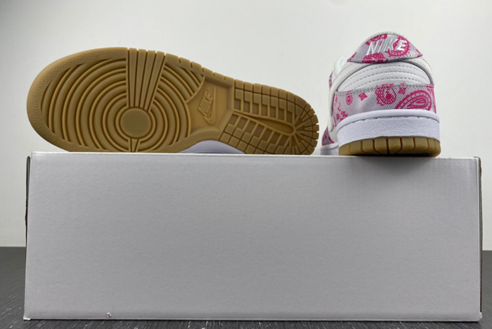 Nike SB Dunk Low Retro SP  CT5053-061